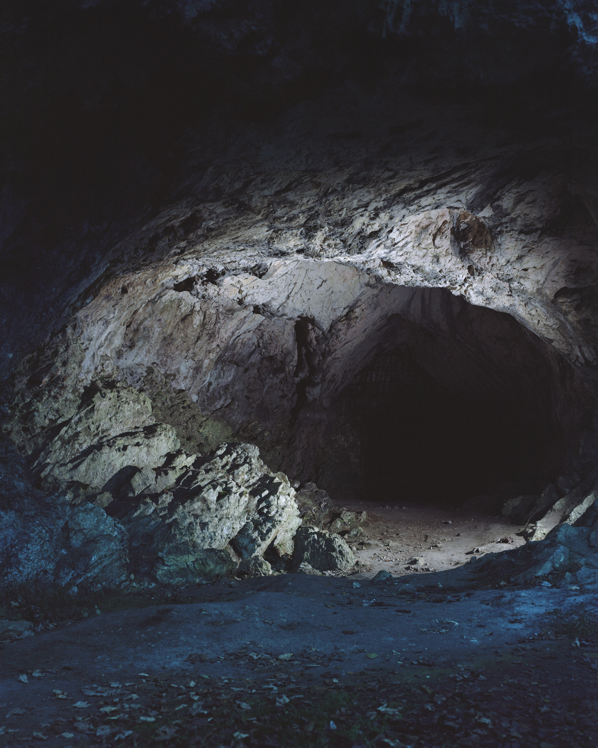 grot waarin een leeuwmens-beeld is gevonden